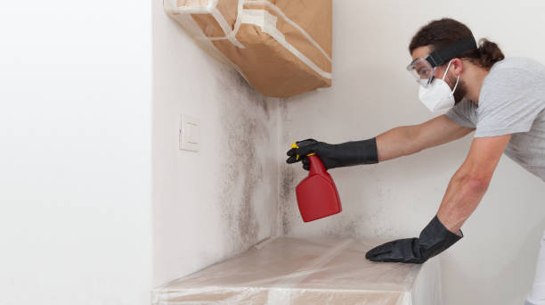 Professional Crawl Space Mold Remediation technician working in Allendale, NJ