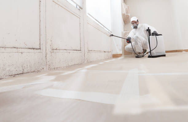 24/7 Emergency Crawl Space Mold Remediation experts in Allendale, NJ