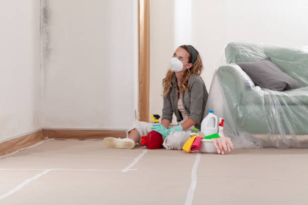 Reliable Crawl Space Mold Remediation contractor in Allendale, NJ by Mold Remediation HQ