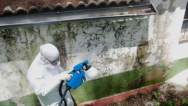 Top rated local Crawl Space Mold Remediation specialists in Allendale, NJ
